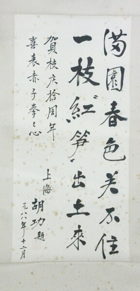 贺校庆十周年 喜表赤子拳之心--胡鸿生