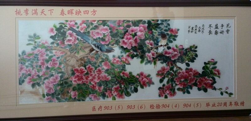 桃李满天下 春晖映四方（医疗903(5) 903(6) 检验904(4) 904(5) 毕业20周年敬赠)